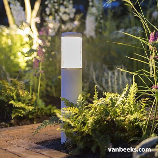 in-lite LIV Low 12v Preview